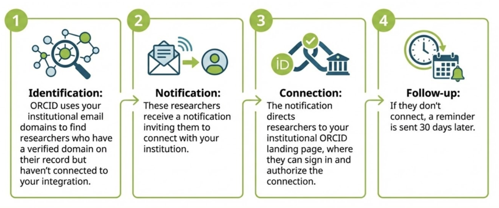 The image shows an overview of the process for researcher connect. the text is in 4 blocks and reads:
Identification
ORCID uses your institutional email domains to find unconnected researchers with a verified domain on their record.
Notification
These researchers receive notifications inviting them to connect with your institution.
Connection
The notification directs researchers to your institutional ORCID landing page, to sign in and authorize the connection.
Follow-up
If they don’t connect, a reminder is sent 30 days later.